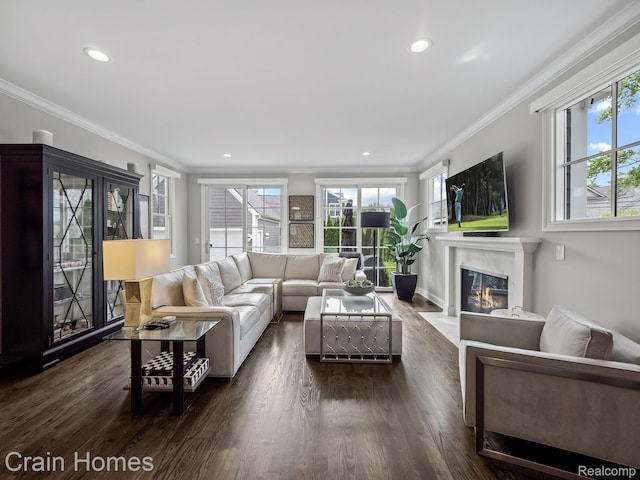 1790 Washington Blvd, Birmingham, MI 48009 - living area featuring healthy amount of natural light, a fireplace, ornamental molding, dark wood-style floors, and recessed lighting