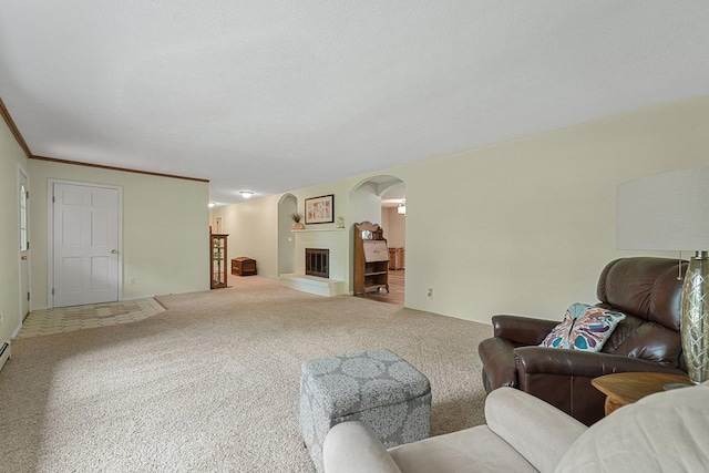 4301B W Sanborn Rd, Lake City, MI 49651 - carpeted living area featuring arched walkways and a fireplace with raised hearth