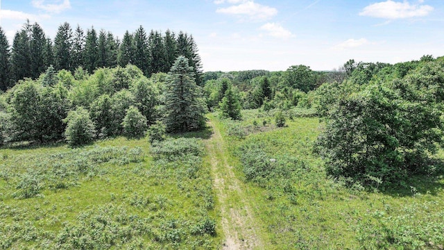 4301B W Sanborn Rd, Lake City, MI 49651 - view of woods