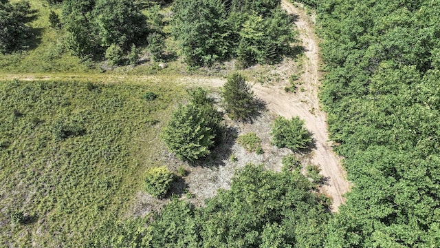 4301B W Sanborn Rd, Lake City, MI 49651 - bird's eye view