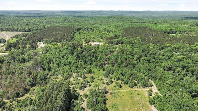 4301B W Sanborn Rd, Lake City, MI 49651 - view of property location featuring a forest