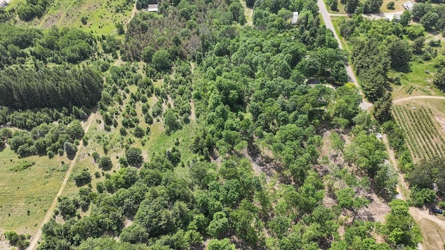 4301B W Sanborn Rd, Lake City, MI 49651 - aerial view