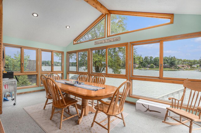 27418 Orchard Dr, Sturgis, MI 49091 - carpeted dining room with a water view, plenty of natural light, high vaulted ceiling, and recessed lighting