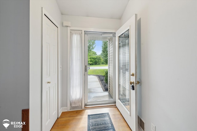 11419 Autumn Breeze Trl, Clio, MI 48420 - entrance foyer with light wood-style floors and baseboards