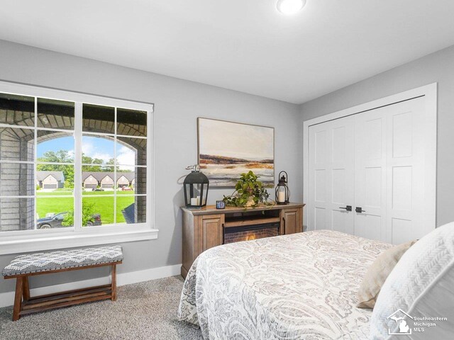 766 Henning St, Dundee, MI 48131 - photo 38