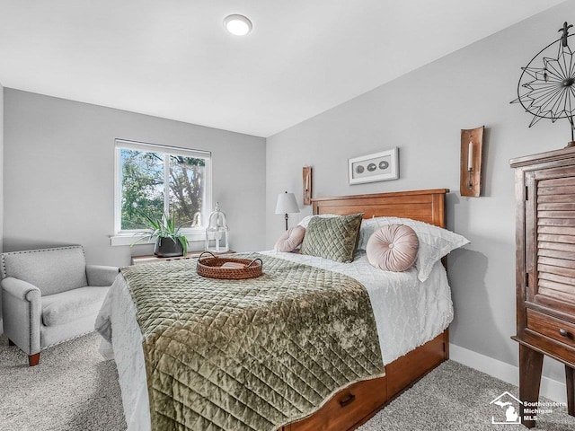 766 Henning St, Dundee, MI 48131 - photo 31