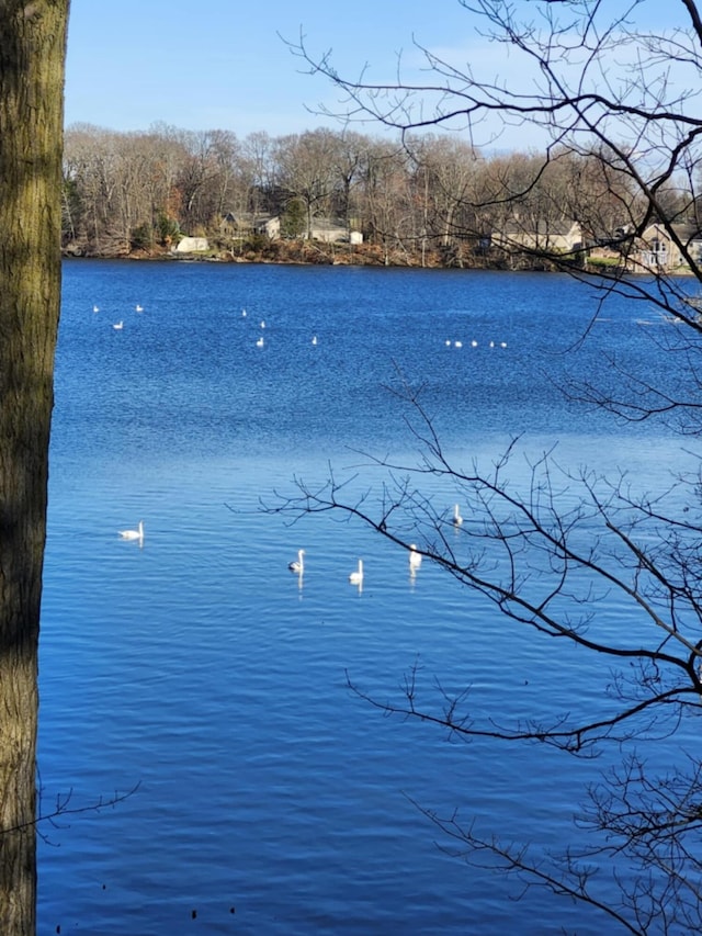 57993 Oak Park Rd, Three Rivers, MI 49093 - water view