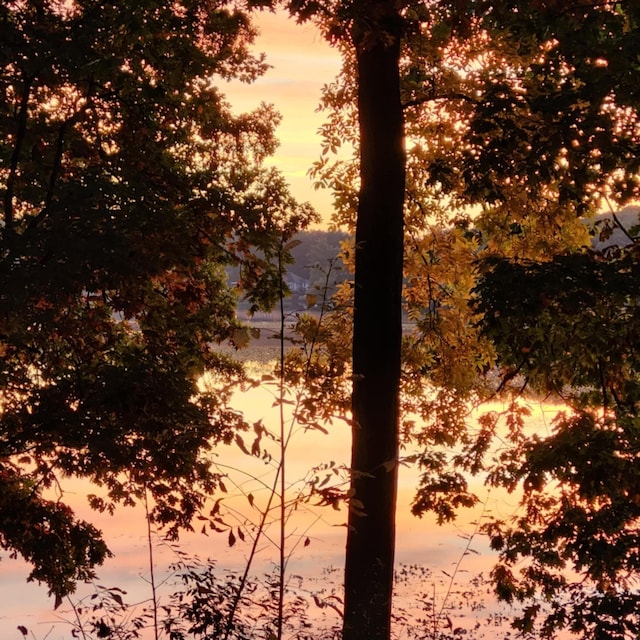 57993 Oak Park Rd, Three Rivers, MI 49093 - view of local wilderness