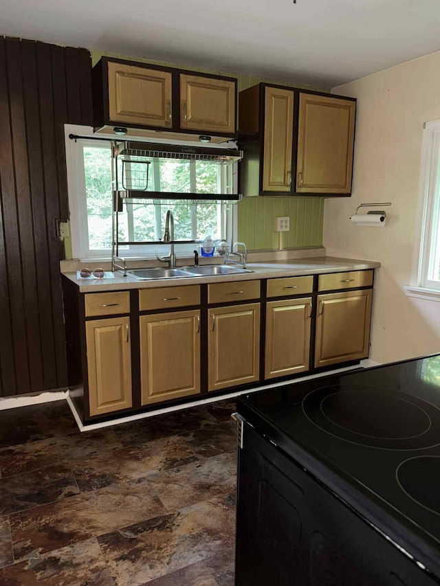 57993 Oak Park Rd, Three Rivers, MI 49093 - kitchen with black range with electric stovetop, healthy amount of natural light, light countertops, and dark stone finish floors