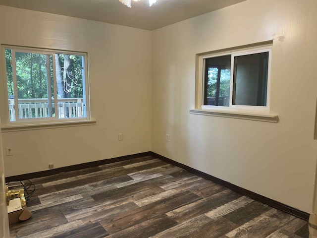 57993 Oak Park Rd, Three Rivers, MI 49093 - spare room with healthy amount of natural light and dark wood-style floors