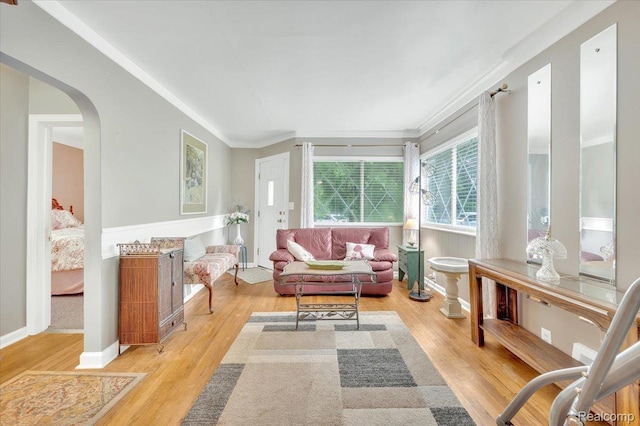 4155 Mill Lake Rd, Lake Orion, MI 48360 - living room featuring ornamental molding, wood finished floors, and arched walkways