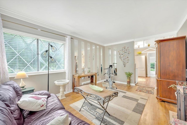 4155 Mill Lake Rd, Lake Orion, MI 48360 - living area featuring light wood-style flooring and crown molding