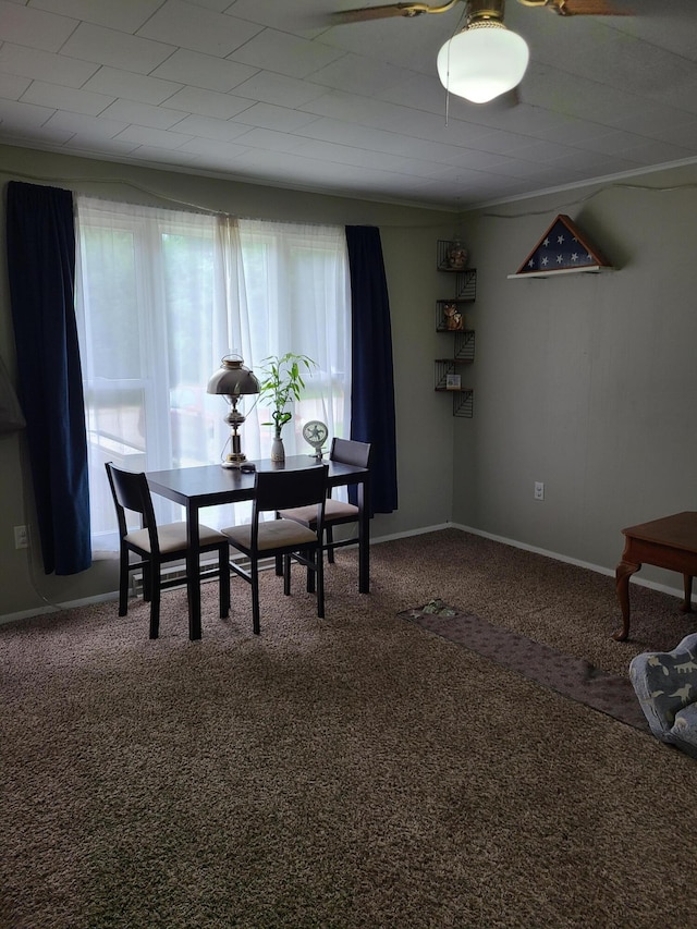 901 Helena Ave, Jackson, MI 49203 - dining room featuring carpet and baseboards