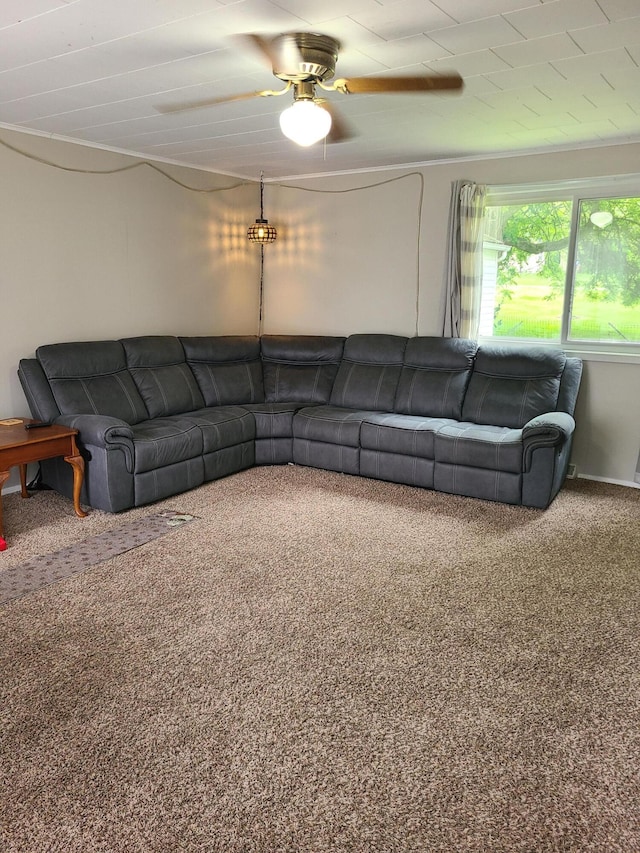 901 Helena Ave, Jackson, MI 49203 - living area featuring ceiling fan and carpet flooring