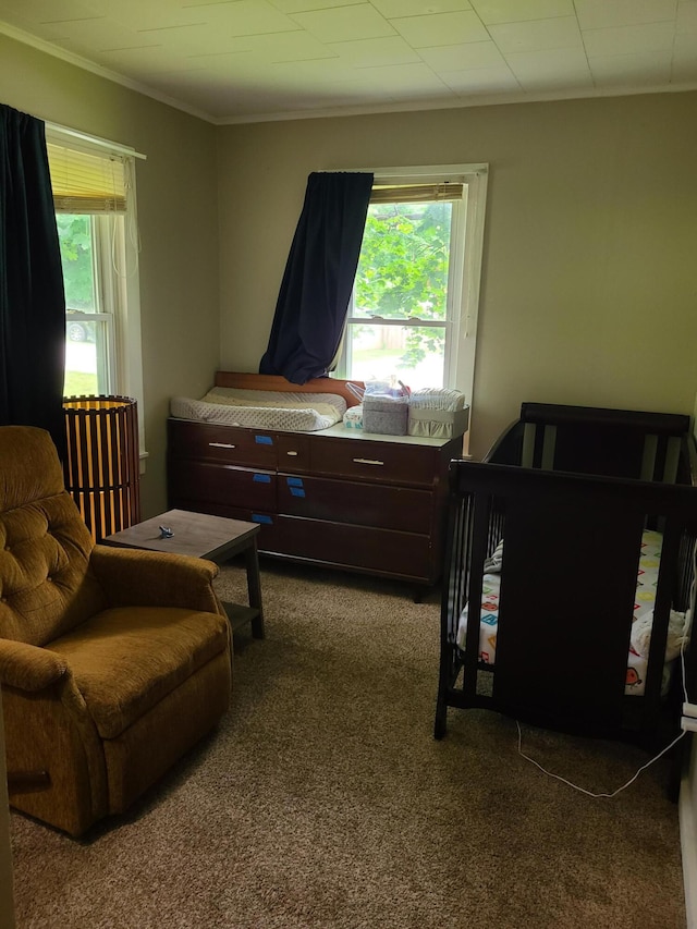 901 Helena Ave, Jackson, MI 49203 - bedroom with multiple windows, crown molding, and carpet floors