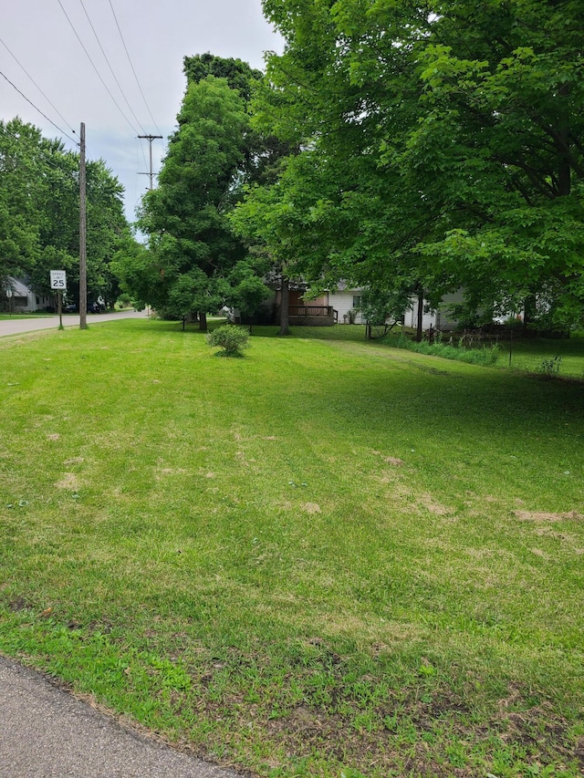 901 Helena Ave, Jackson, MI 49203 - view of green lawn