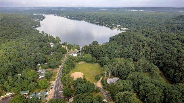 8867 W Garfield Rd, Shelby, MI 49455 - aerial overview of property's location featuring a heavily wooded area and a nearby body of water