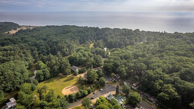 8867 W Garfield Rd, Shelby, MI 49455 - aerial overview of property's location with a heavily wooded area and a nearby body of water