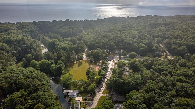 8867 W Garfield Rd, Shelby, MI 49455 - aerial view of property and surrounding area with a forest and a nearby body of water