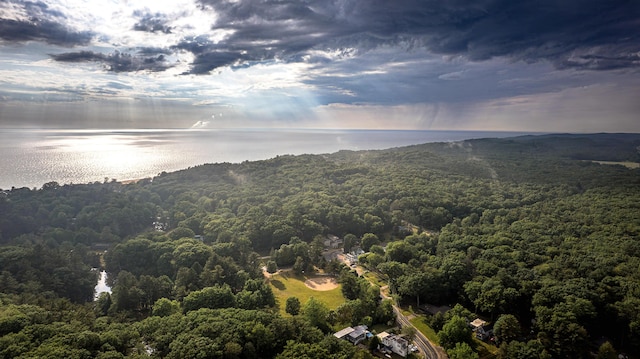 8867 W Garfield Rd, Shelby, MI 49455 - drone / aerial view of a forest and a large body of water