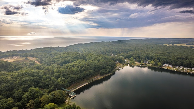8867 W Garfield Rd, Shelby, MI 49455 - bird's eye view of a large body of water