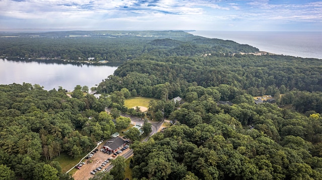 8867 W Garfield Rd, Shelby, MI 49455 - view of property location with a heavily wooded area and a nearby body of water
