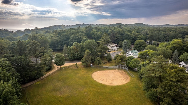 8867 W Garfield Rd, Shelby, MI 49455 - aerial view of a forest