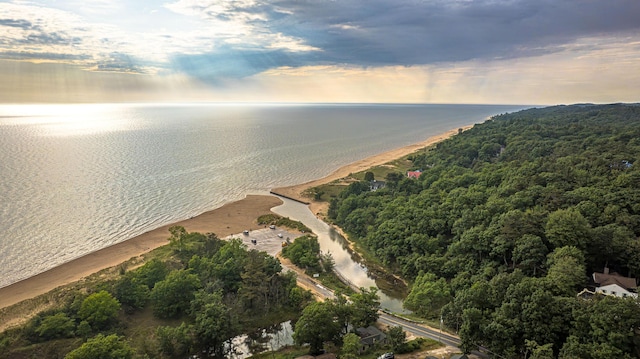 8867 W Garfield Rd, Shelby, MI 49455 - aerial view of property's location with a nearby body of water