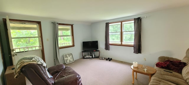 8867 W Garfield Rd, Shelby, MI 49455 - living room with plenty of natural light and carpet floors
