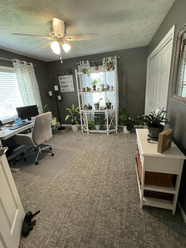 5437 Grand River Dr NE, Grand Rapids, MI 49525 - home office with ceiling fan, carpet floors, and a textured ceiling