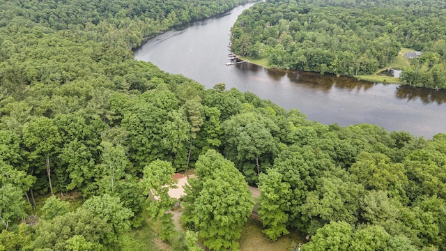 4424 Teal Ln, Newaygo, MI 49337 - aerial view of a large body of water