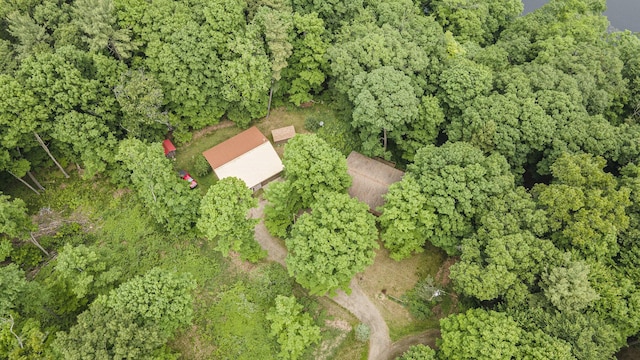 4424 Teal Ln, Newaygo, MI 49337 - aerial overview of property's location