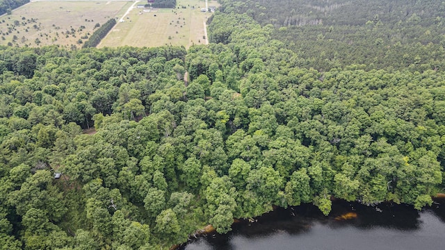 4424 Teal Ln, Newaygo, MI 49337 - aerial overview of property's location with a nearby body of water and a heavily wooded area