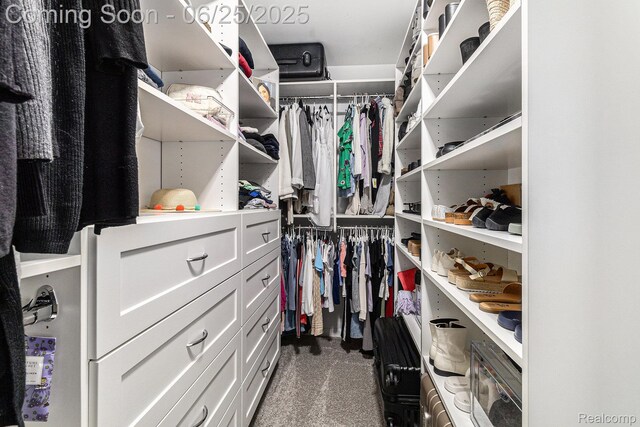 475 Jenny Way, Brighton, MI 48116 - walk in closet featuring dark colored carpet