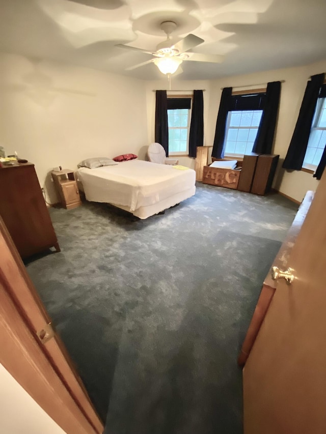 8728 Thompson Rd, Lake Odessa, MI 48849 - photo 12