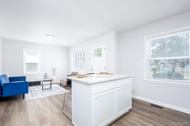 1730 E Hazelhurst St, Ferndale, MI 48220 - kitchen featuring wood finished floors, plenty of natural light, white cabinets, and open floor plan
