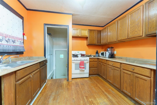 119 N Genesee Ave, Pontiac, MI 48341 - photo 11