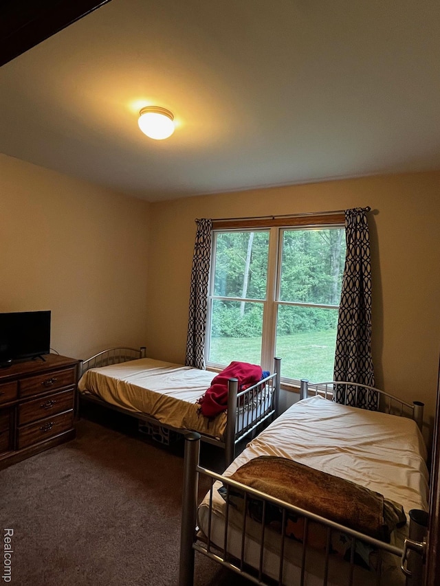895 Jennings Rd, Whitmore Lake, MI 48189 - photo 21