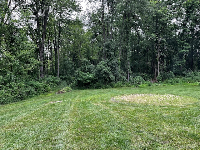 895 Jennings Rd, Whitmore Lake, MI 48189 - photo 42