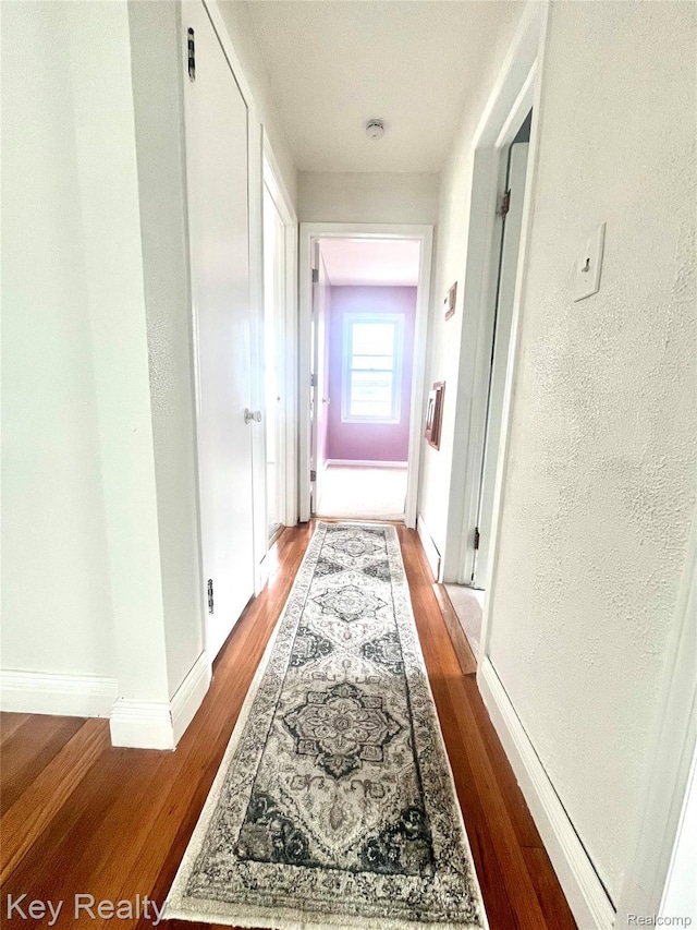 13509 Backus St, Southgate, MI 48195 - hall with wood finished floors
