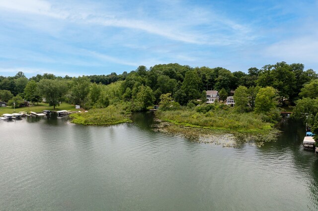 60757 Beechwood Ln, Cassopolis, MI 49031 - photo 36