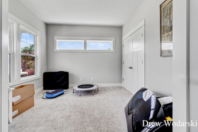 8205 Autumn Acres Dr, Rockford, MI 49341 - sitting room with carpet flooring and baseboards