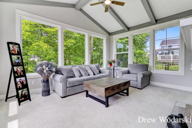 8205 Autumn Acres Dr, Rockford, MI 49341 - sunroom with baseboards and carpet flooring