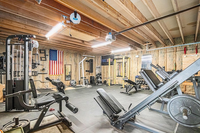 33370 Frantz Dr, Niles, MI 49120 - view of exercise room