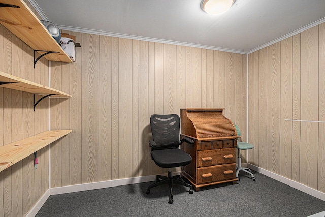 33370 Frantz Dr, Niles, MI 49120 - office space featuring wood walls and carpet flooring