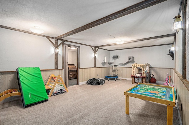 33370 Frantz Dr, Niles, MI 49120 - playroom featuring a wainscoted wall, carpet floors, a textured ceiling, wood walls, and beamed ceiling
