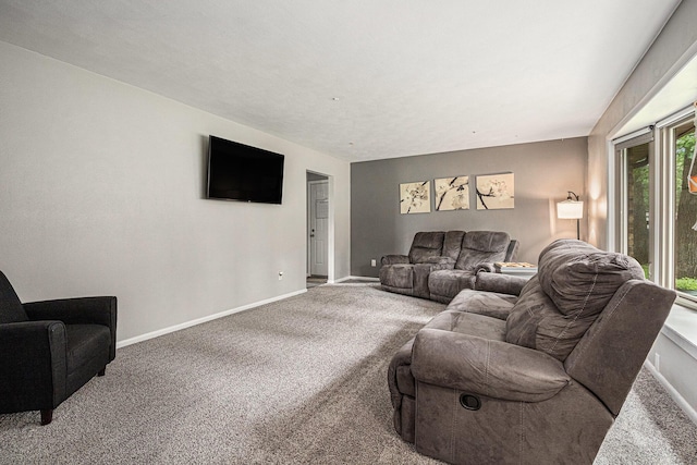 33370 Frantz Dr, Niles, MI 49120 - carpeted living area featuring baseboards