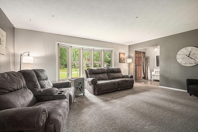 33370 Frantz Dr, Niles, MI 49120 - carpeted living area featuring baseboards