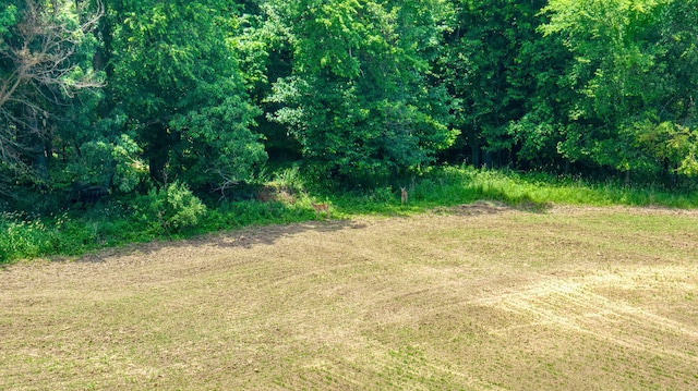 15379 Howard Rd, Hanover, MI 49241 - view of local wilderness