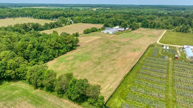 15379 Howard Rd, Hanover, MI 49241 - view of rural area featuring farmland